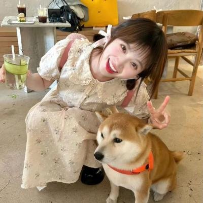 有招没招之爱情达人